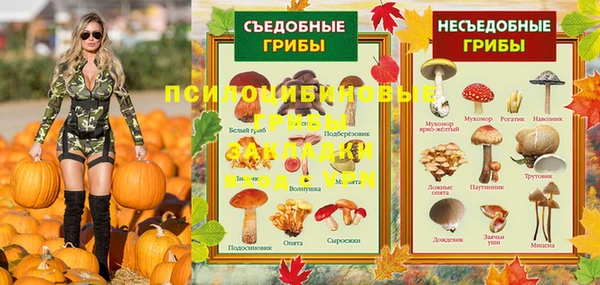 прущий лед Козельск