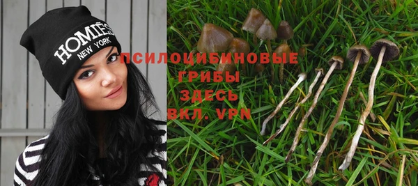 mdpv Кодинск
