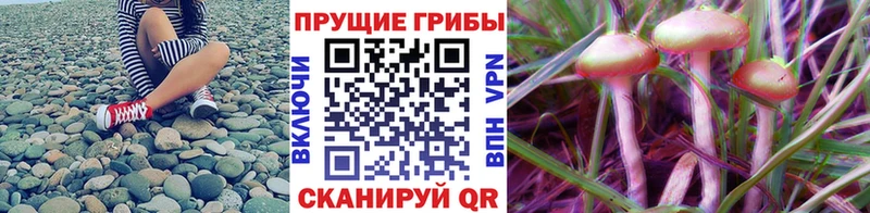 Псилоцибиновые грибы MAGIC MUSHROOMS  Купить закладки  Собинка 
